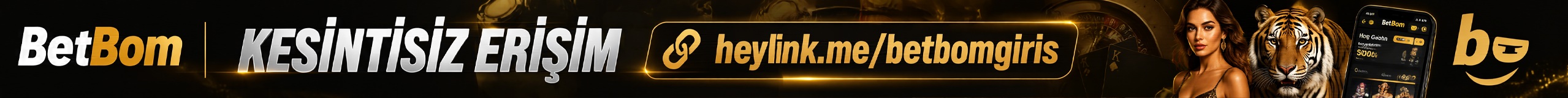 Kesintisiz erişim